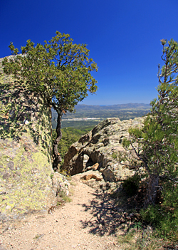 Maçanet de Cabrenys